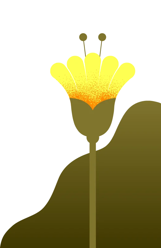 magicspooncart.it.com
