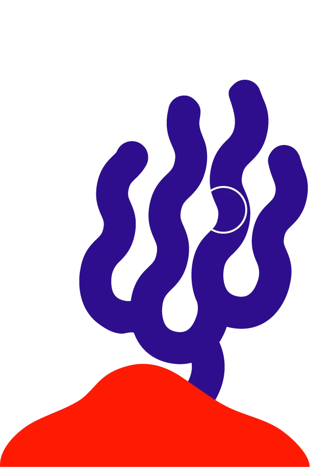 magicspooncart.it.com
